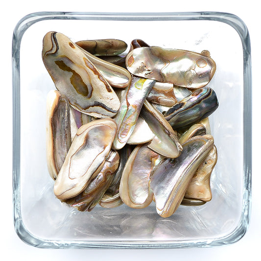 healing crystals: abalone tumbled stone